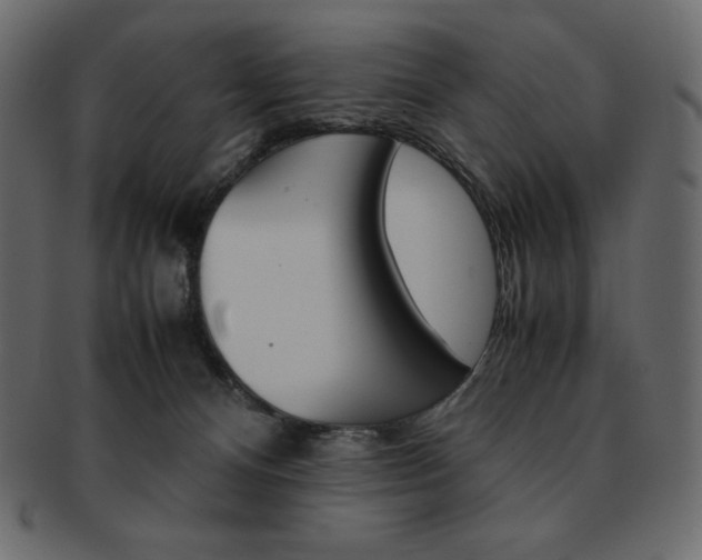 X0000093160128200709261043