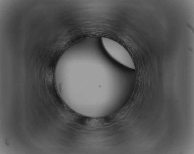 X0000093160129200709261043
