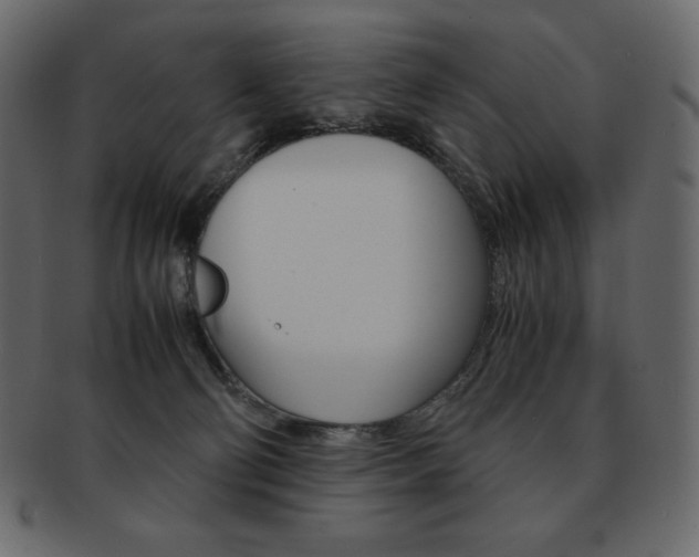 X0000093160130200709261043