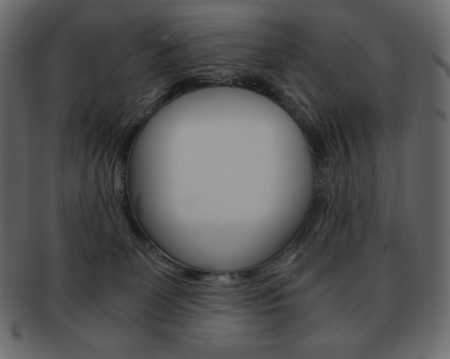 X0000093160131200709261043