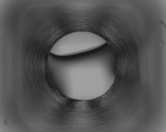 X0000093160132200709261043