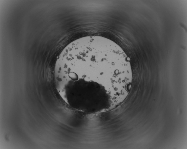 X0000093160136200709261043