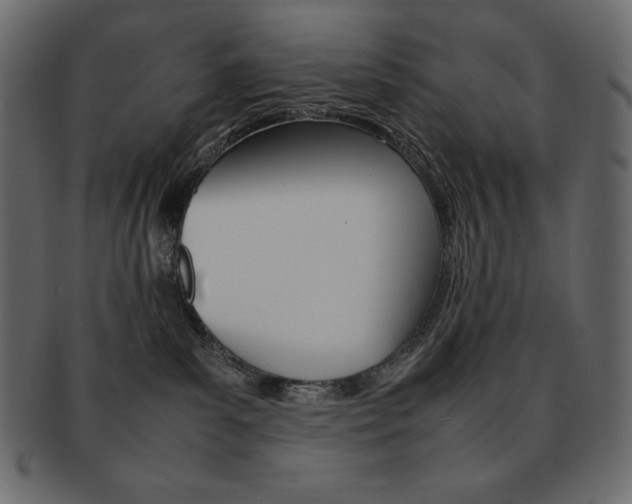X0000093160139200709261043
