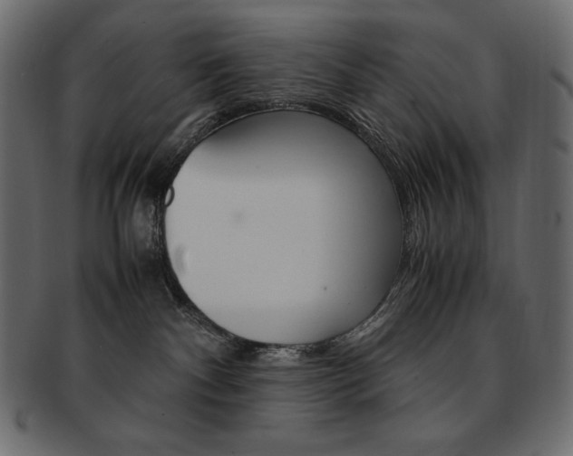 X0000093160140200709261043