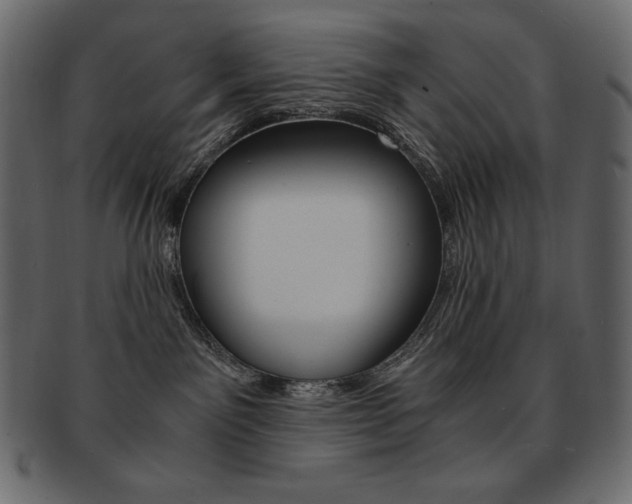 X0000093160141200709261043