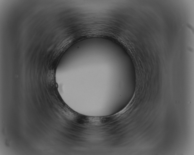 X0000093160144200709261043