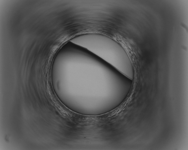 X0000093160145200709261042