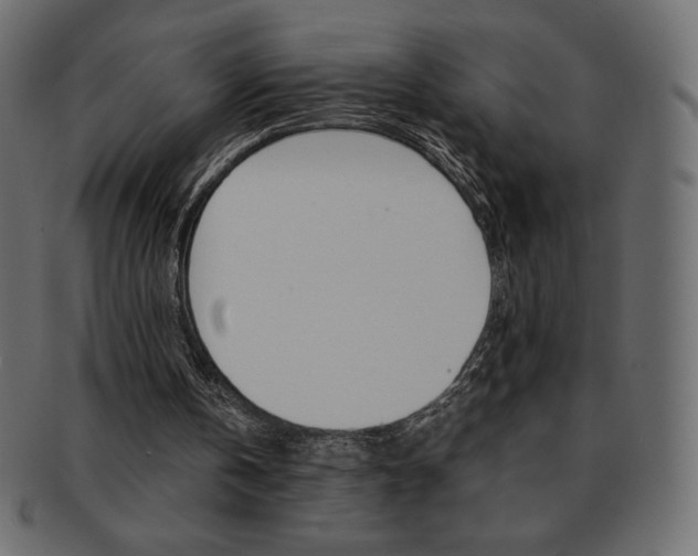 X0000093160146200709261042