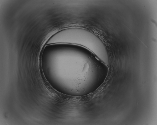 X0000093160148200709261042
