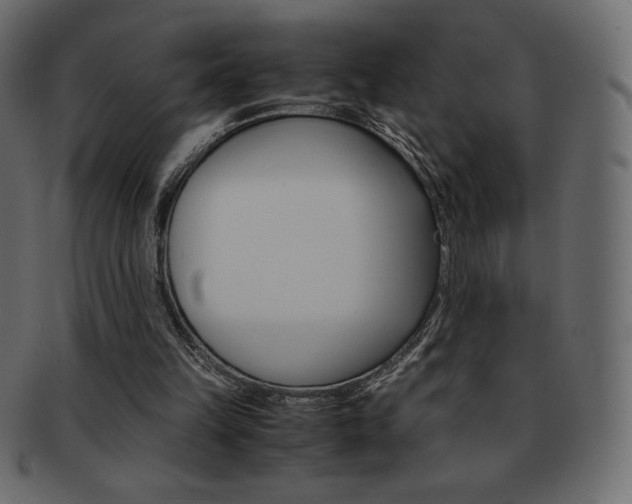 X0000093160149200709261042