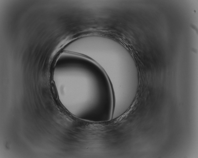 X0000093160150200709261042