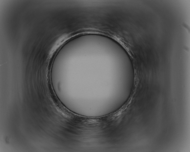 X0000093160151200709261042