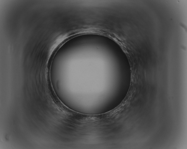 X0000093160152200709261042