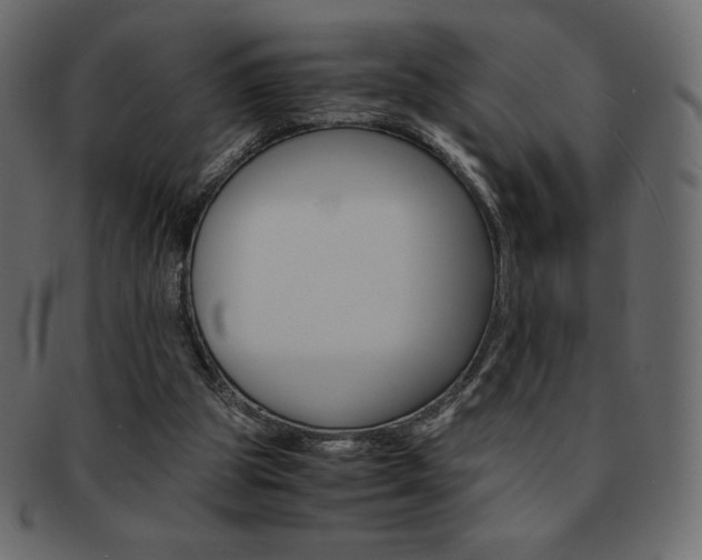 X0000093160153200709261042