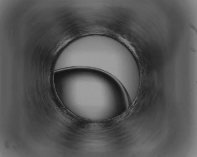 X0000093160154200709261042