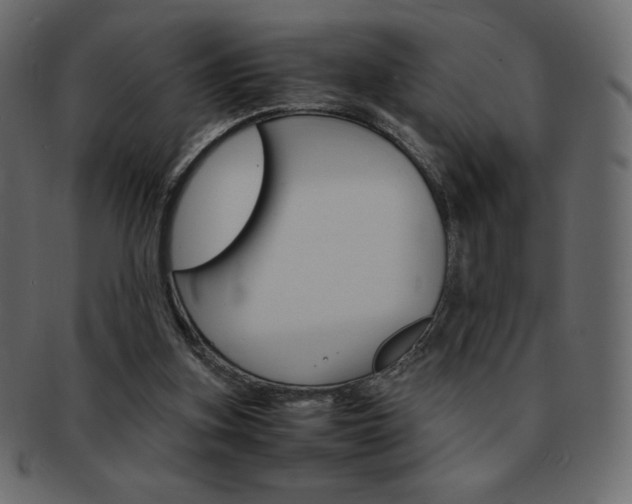X0000093160155200709261042