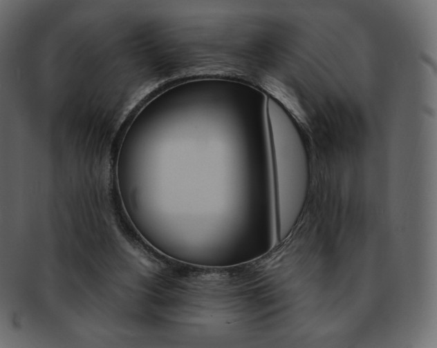X0000093160156200709261042