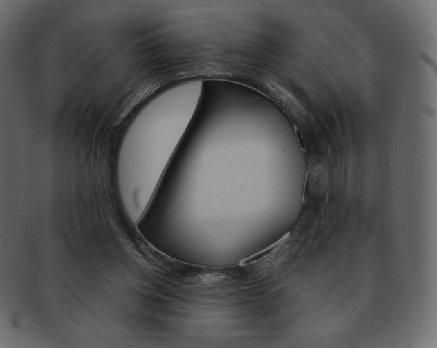 X0000093160158200709261042