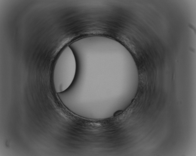 X0000093160159200709261042
