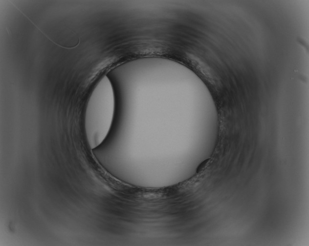 X0000093160163200709261042