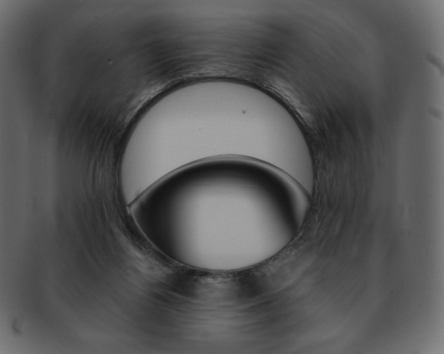 X0000093160164200709261042