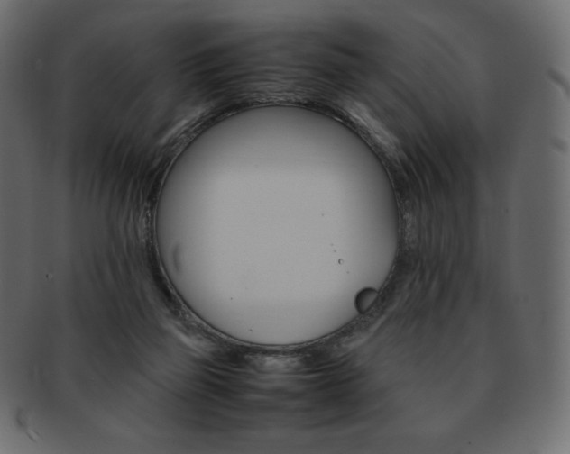 X0000093160165200709261042