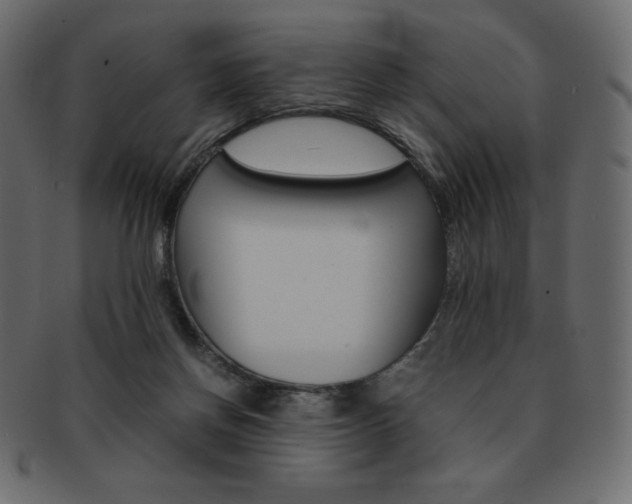 X0000093160166200709261042