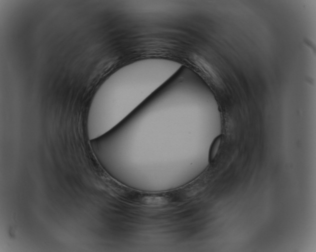 X0000093160169200709261043