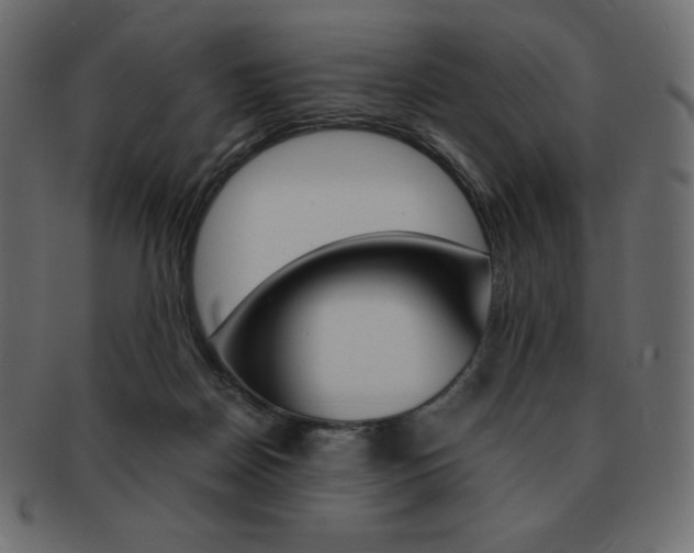 X0000093160170200709261043