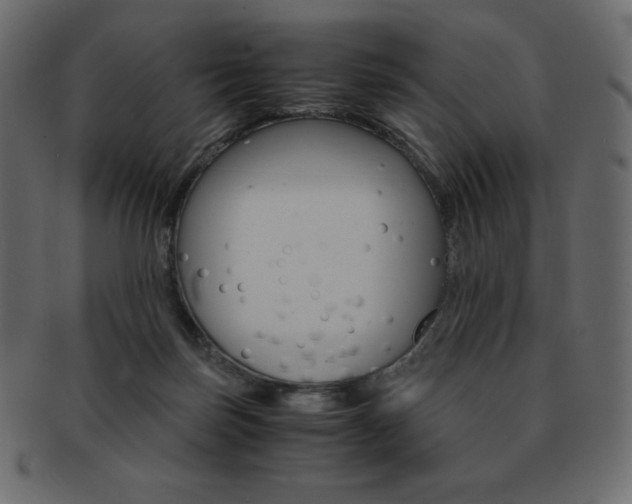 X0000093160171200709261043