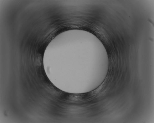 X0000093160174200709261043
