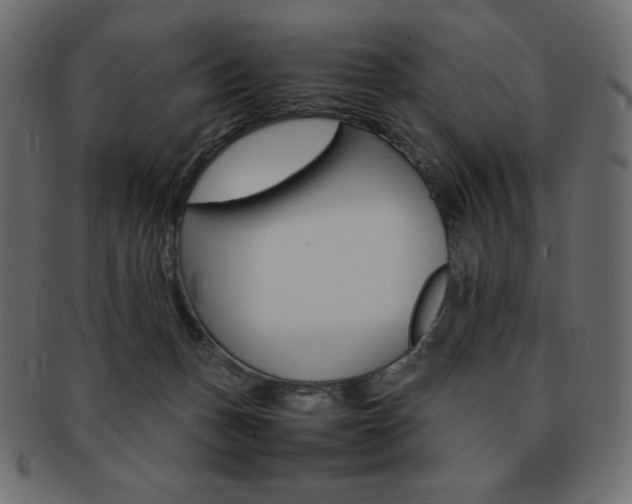 X0000093160175200709261043