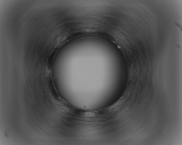 X0000093160176200709261043