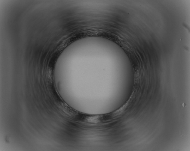 X0000093160178200709261043