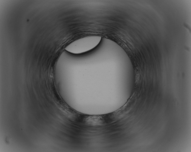 X0000093160179200709261043