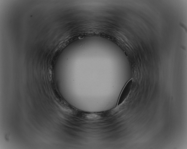 X0000093160183200709261043