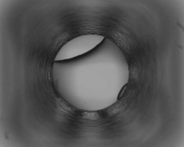 X0000093160185200709261043