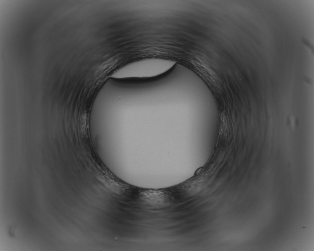 X0000093160189200709261043