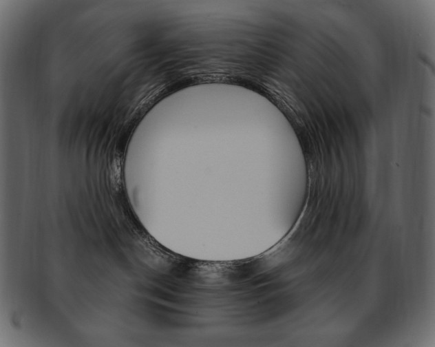 X0000093160190200709261043