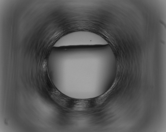 X0000093160191200709261043