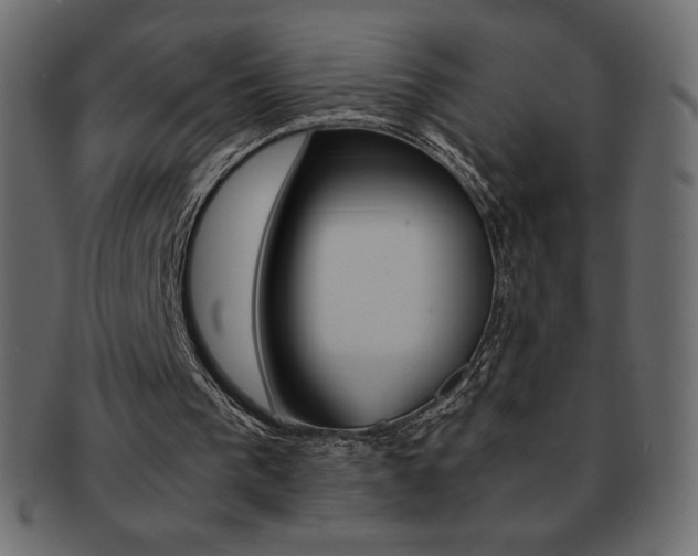 X0000093160193200709261042