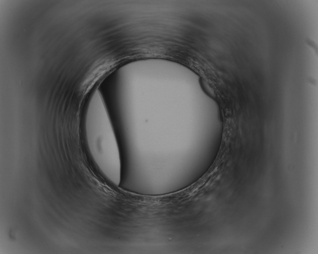 X0000093160194200709261042