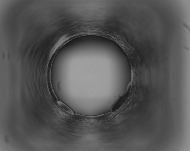 X0000093160195200709261042