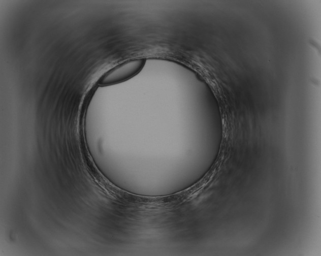 X0000093160196200709261042