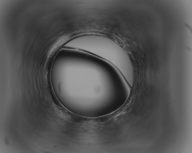 X0000093160197200709261042
