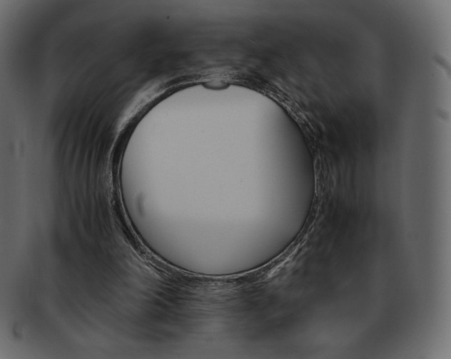 X0000093160198200709261042