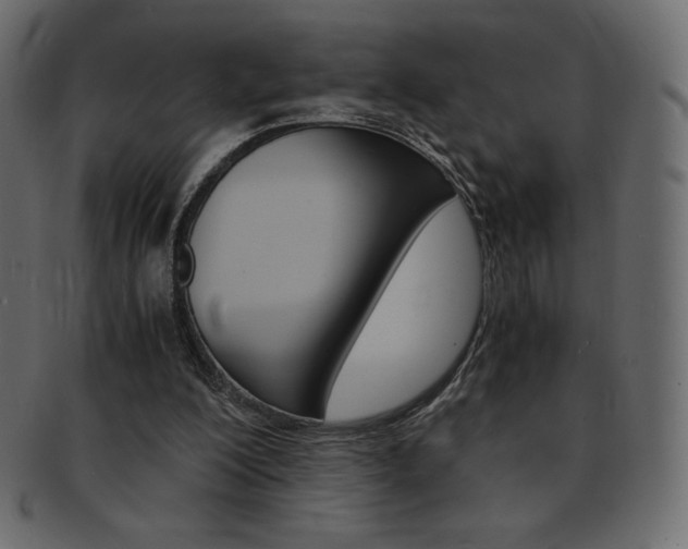 X0000093160200200709261042