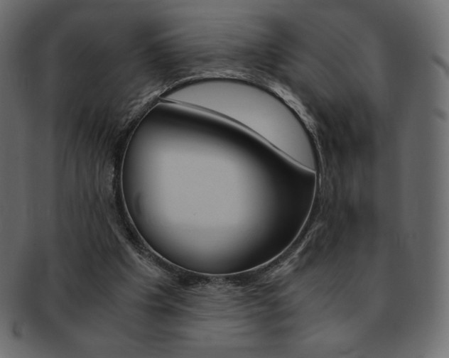 X0000093160201200709261042