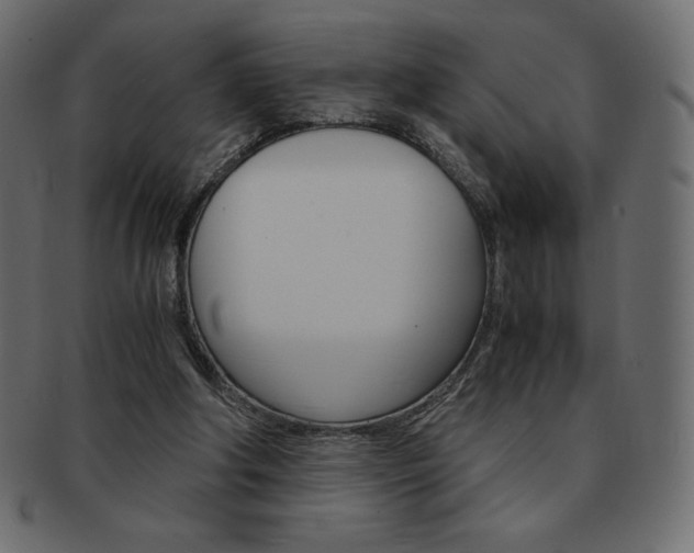 X0000093160202200709261042