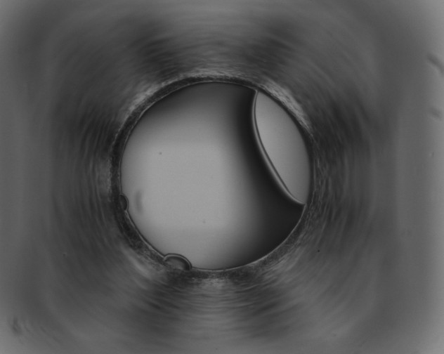 X0000093160204200709261042